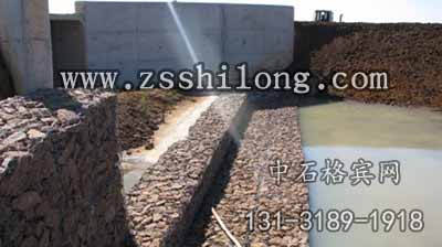 zsshilong21.jpg