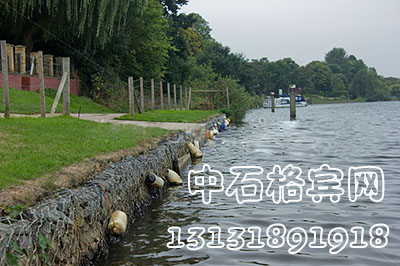 zsshilong41.jpg