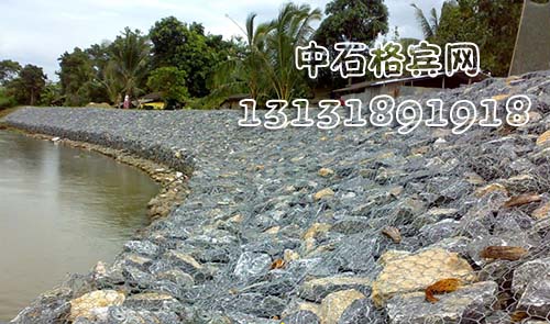 zsshilong69.jpg
