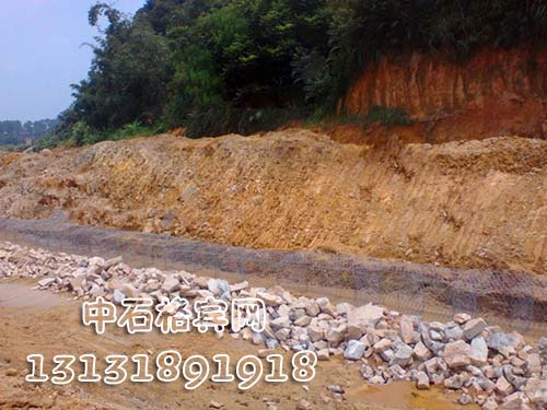 zsshilong82.jpg