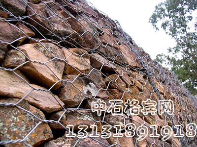 zsshilong88.jpg