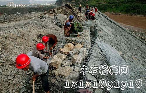 zsshilong98.jpg