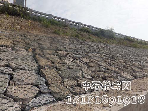 zsshilong120.jpg