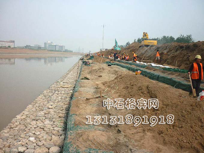 護(hù)岸固濱籠價格、規(guī)格13131891918