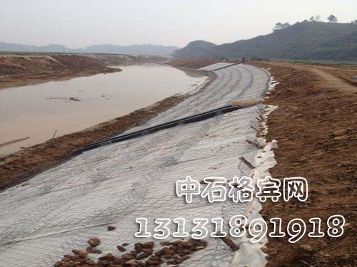 雙隔板雷諾護墊